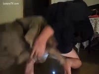 Perverted man wishes a dog wang in his butt